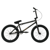 grasshopper-black2024 (2)