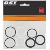 Ремкомплект для вилок RST H5GORHGMC0 34mm 21