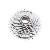 -000013337_p_s -000013337_p_s