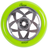crocus-green-110