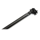 -000012279_p_s -000012279_p_s