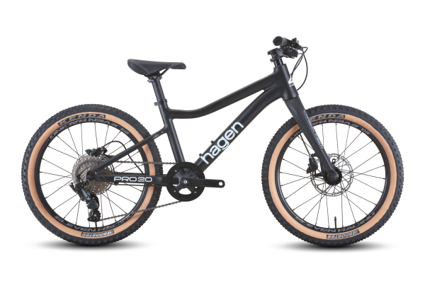 Teen Pro 20 Carbon fork flat