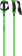 Палки г/л Atomic Redster X Carbon SQS (green) 22 
