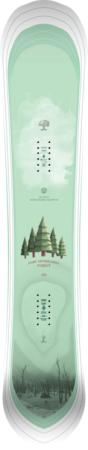 large_forest_top_1
