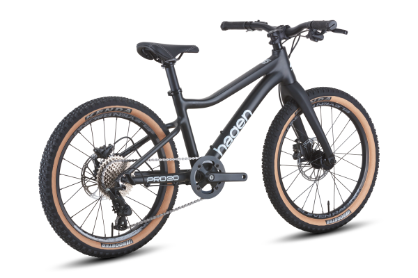 Teen Pro 20 Carbon fork R