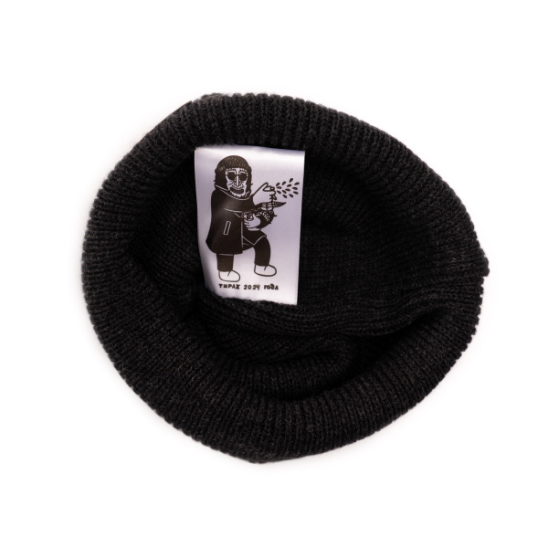 02_2 фудзи графит