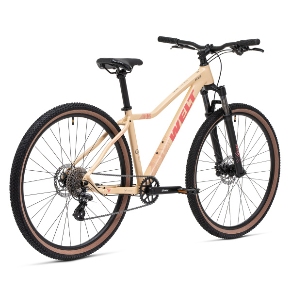 21573c22fce9e93cf836b64f55061e2f