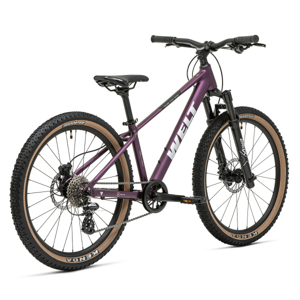 aff208ff82b5cd8dfcb210d61c1e6b6c